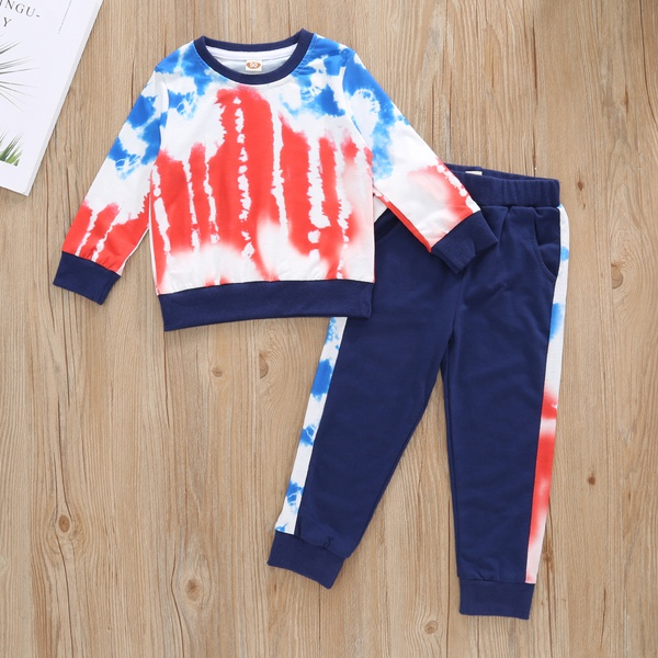 2-piece Baby / Toddler Boy Allover Long-sleeve Pullover and Colorblock Pants Set