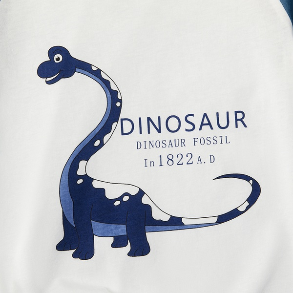 Baby / Toddler Boy Adorable Dinosaur Print Tee