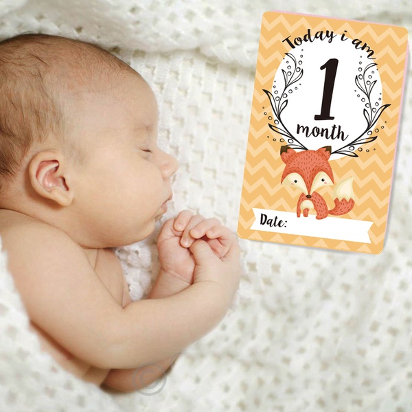 12 Pieces Newborn Baby Milestone Stickers Photography Set of 12 Baby Souvenir Monthly Sticker