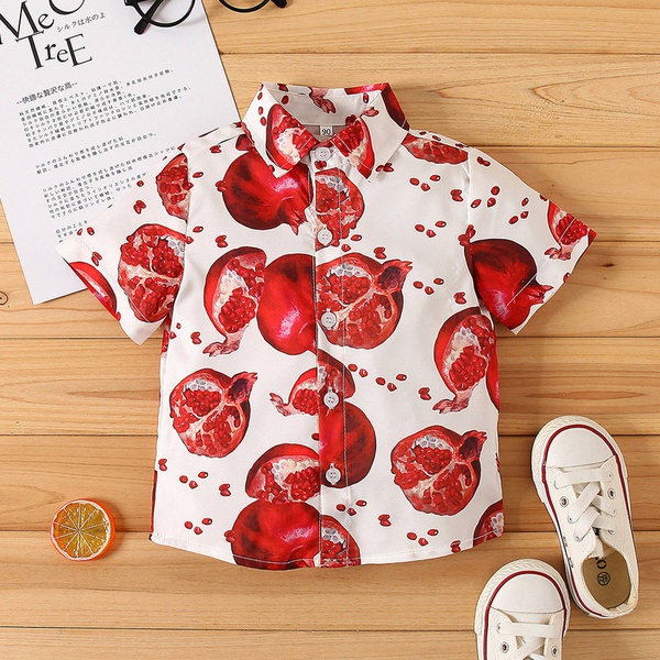Baby / Toddler Boy Pomegranate Print Shirt