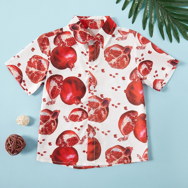 Toddler Boy Stylish Pomegranate Print Shirt