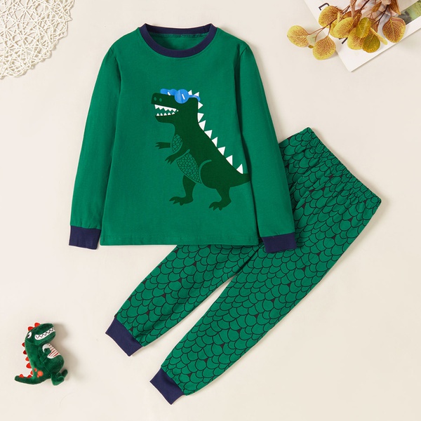 Stylish Dinosaur Print Sweatshirt and Allover Pants Set