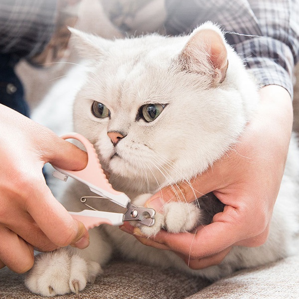 Nail Clipper for Cat Dog