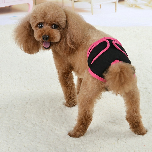 Pet Velcro Physiological Pants