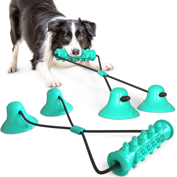 Pet toy double suction cup pull rope molar rod
