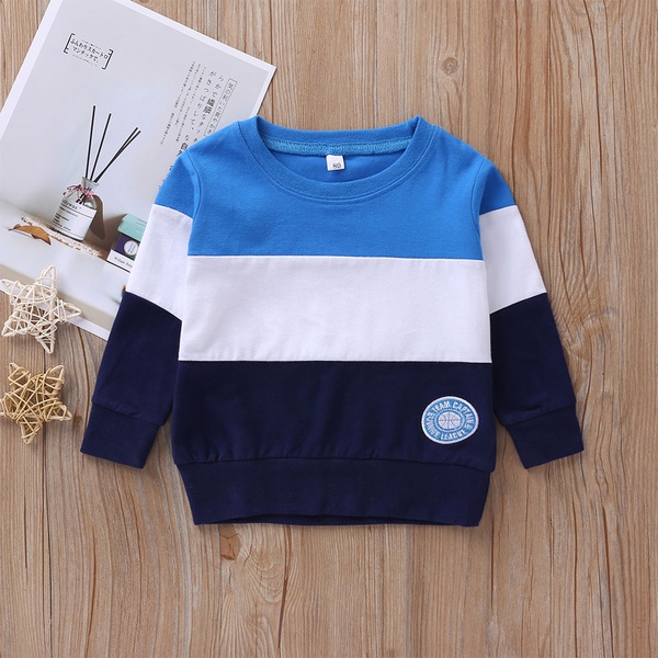 Baby / Toddler Fashion Colorblock Long-sleeve Pullover